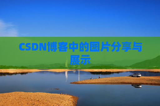 CSDN博客中的图片分享与展示